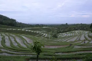 Day 17. Kanciana Around The World Travel