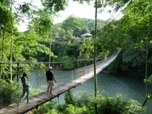 Day 2. Jungle Lodge Around The World Travel
