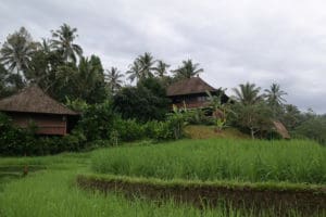 Day 1 Bali Eco Stay Around The World Travel