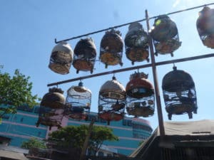 Day 11. Malang Around The World Travel