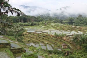 Day 11. Ruteng Around The World Travel