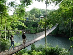 Day 2. Jungle Lodge Around The World Travel