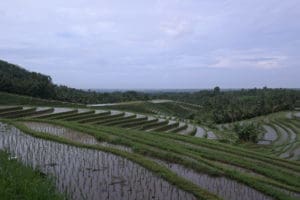 Day 2 Kanciana Around The World Travel