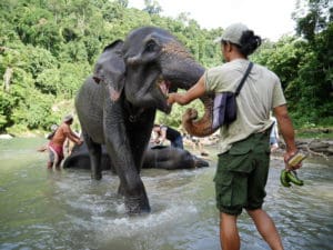 Day 3. Tangkahan, elephant washing Around The World Travel