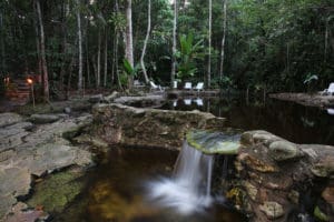 Ecopark Around The World Travel
