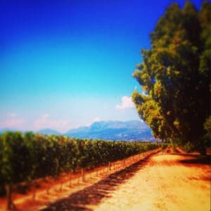 Zuid-Afrika - Around The World Travel