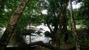 knini paati natuur around the world travel