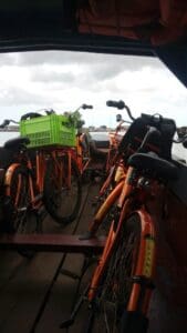 1.3 Fietstocht naar Marienbosch - Suriname rondreis Around The World Travel