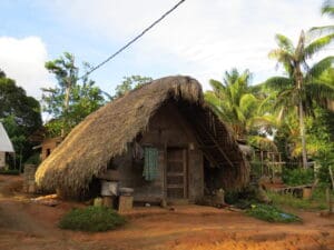 rieten hutje traditioneel - Suriname Highlights rondreis Around The World Travel