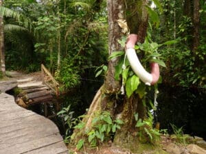 palulu - Suriname Highlights rondreis Around The World Travel