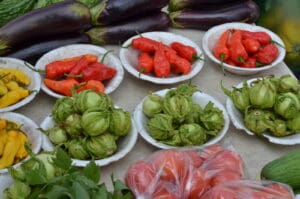 Kookcursus - Suriname Highlights rondreis Around The World Travel