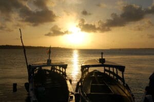 Sunset & Dolphins Trip - Suriname rondreis Around The World Travel
