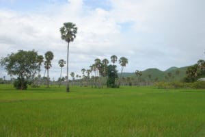 Dag 4 Cambodja ATWT