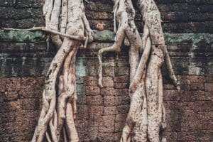Koh Ker and Beng Mealea Around The World Travel.jpg