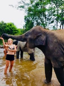 Olifanten wassen Thailand