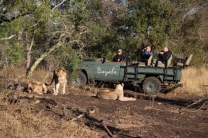 ZuidAfrika rondreizen Around The World Travel