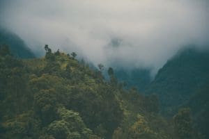 Chitwan Nepal rondreis Around The World Travel