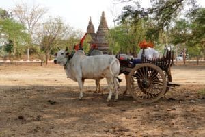 Dag 6 Bagan tour - Myanmar Around The World Travel
