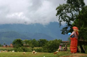 Nepal reis op maat - Around The World Travel - 16