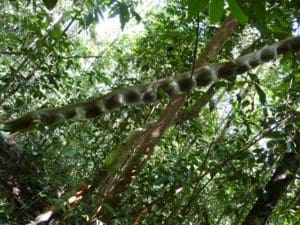 Panama reis op maat - Around The World Travel 23