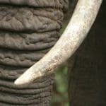 Rondreis Tanzania Around the world travel Tanzania Around The World Travel