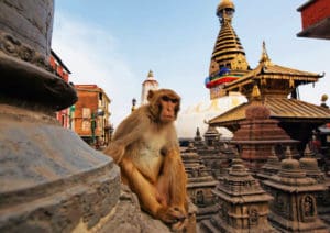rondreis Kathmandu Nepal Around The World Travel