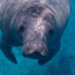 Belize Around The World Travel