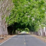 Panama reis op maat - Around The World Travel - 10