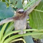Panama reis op maat - Around The World Travel - 14