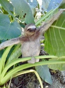 Panama reis op maat - Around The World Travel - 14