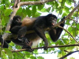 Panama reis op maat - Around The World Travel - 24
