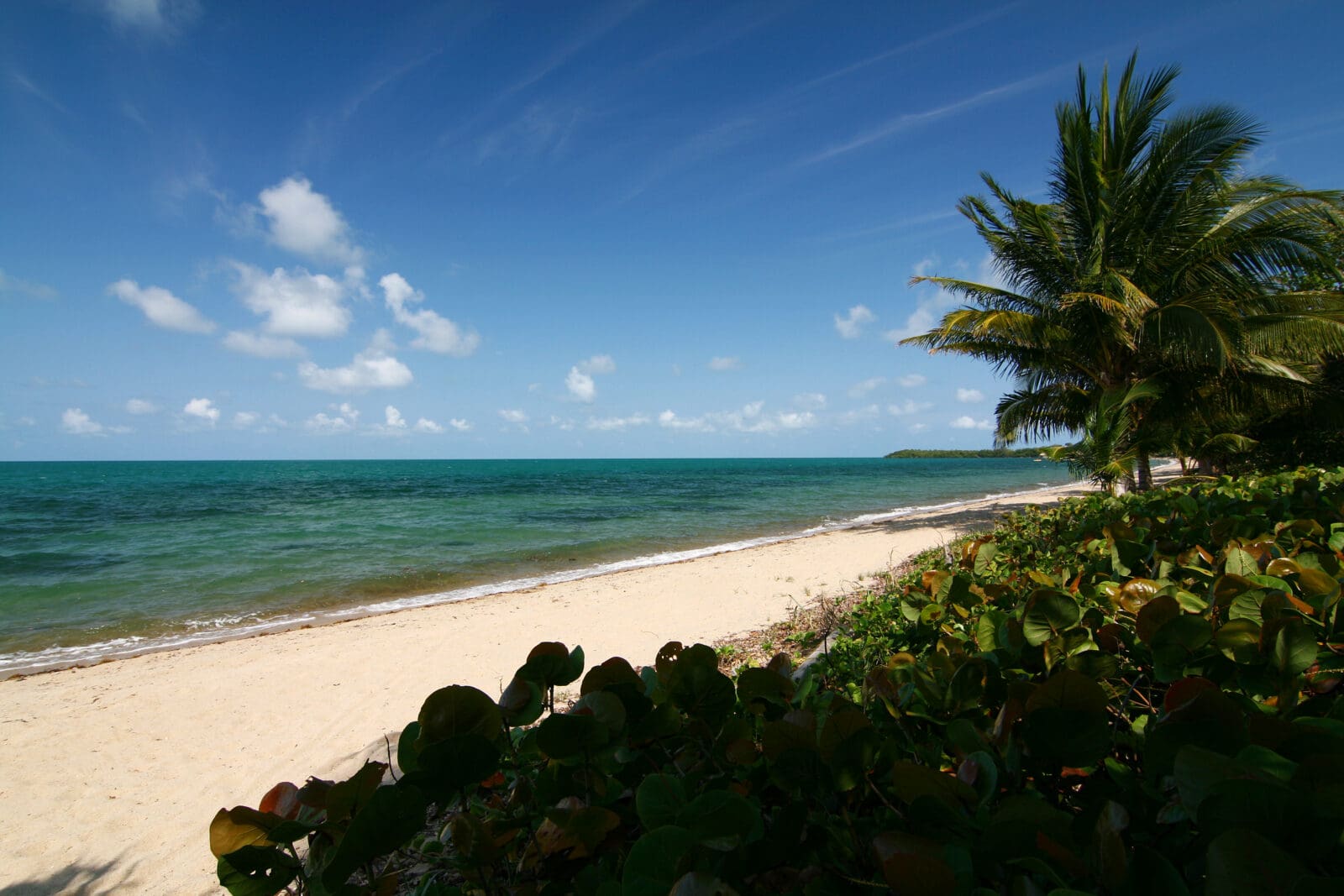 Dag 9 - Belize reis op maat Around The World Travel The World Travel