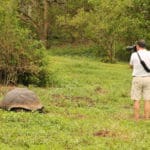 rondreis galapagos Around The World Travel