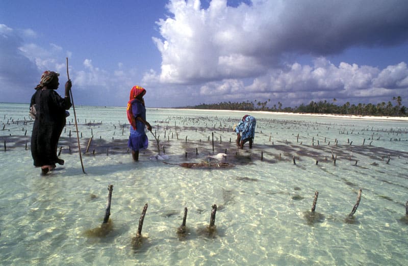 Dag 13 - Activiteit - Vrouwen | rondreis Tanzania - Around The World Travel