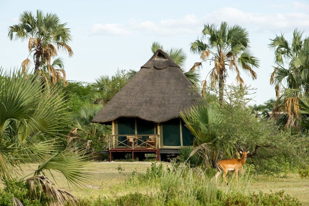 Dag 3 - Acco - Maramboi Tented Camp | rondreis Tanzania - Around The World Travel