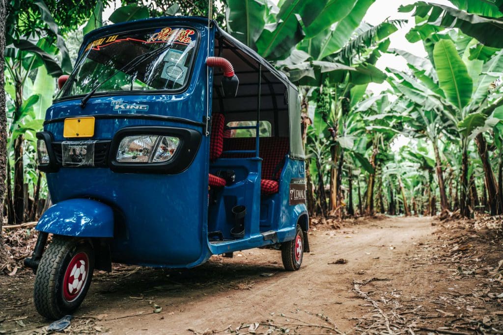 Dag 4 - Activiteit - Mto wa Mbu | rondreis Tanzania - Around The World Travel