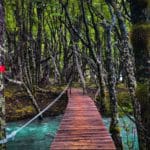 11 rondreis argentinie patagonie - around the world travel