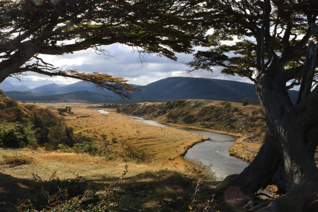 5 rondreis argentinie patagonie - around the world travel