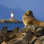07 Van Puerto Madryn naar Ushuaia | Patagonie rondreis argentinie - Around The World Travel