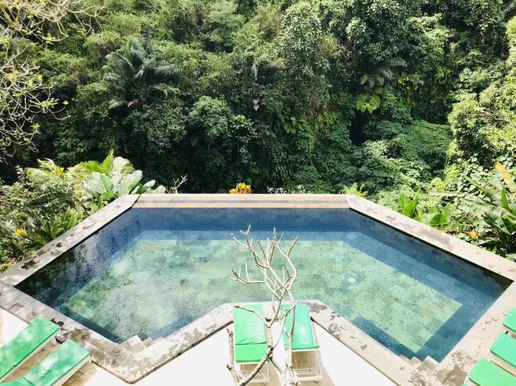dag 16 - Familie Rondreis Indonesie - Around The World Travel ubud