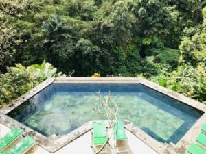 dag 16 - Familie Rondreis Indonesie - Around The World Travel ubud